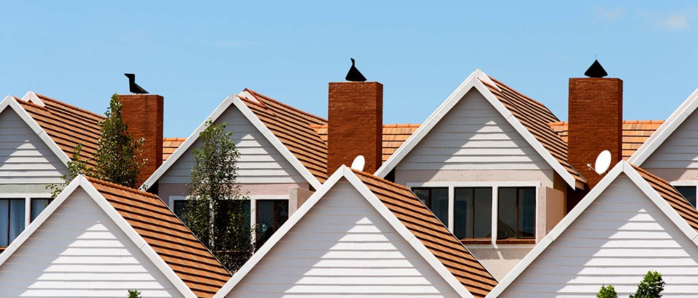 Houses roofs